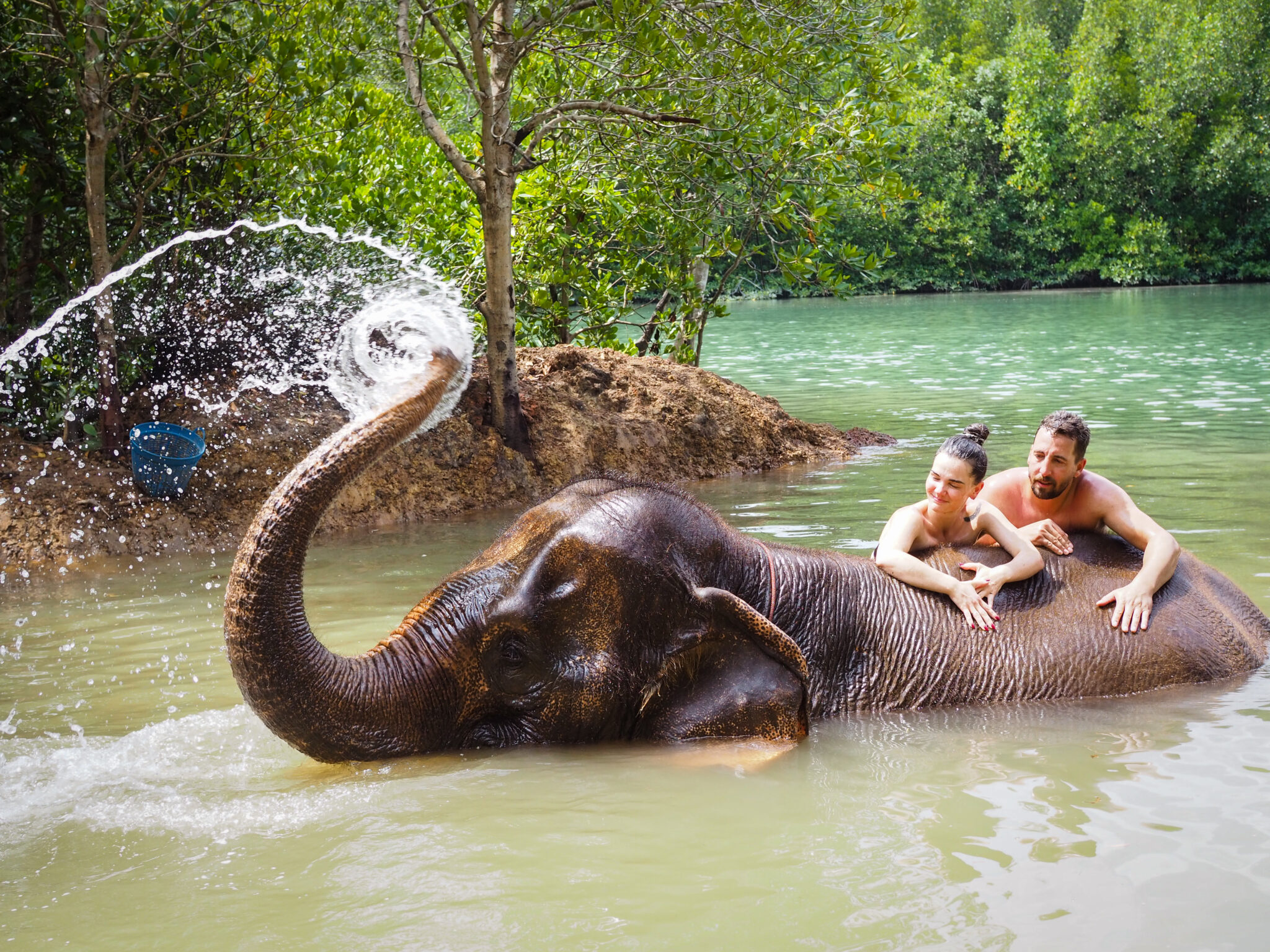 Elephant Bath, Elephant Shelter, Krabi Thailand
