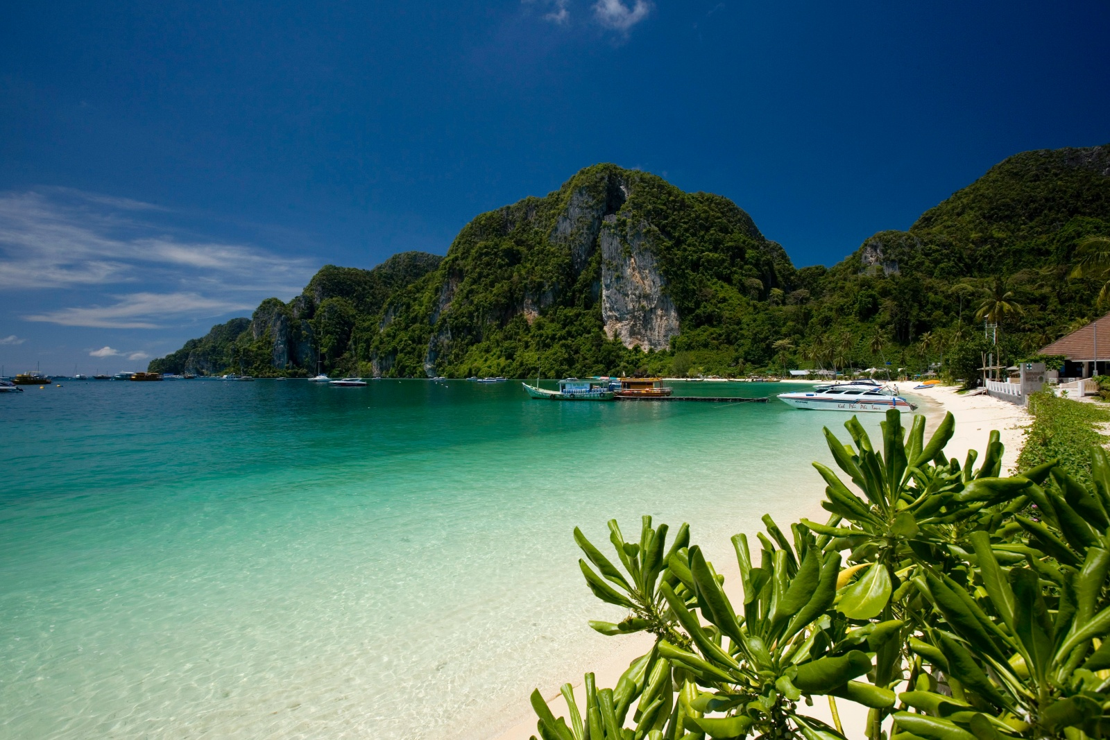 Discover the Paradise of Phi Phi Island: A Must Visit Destination In Thailand